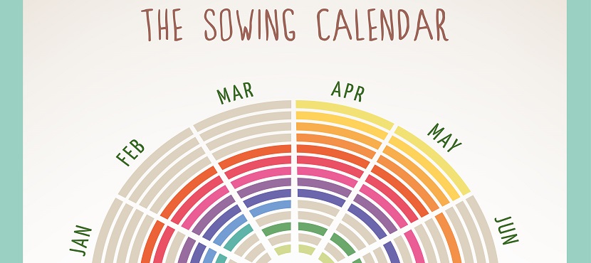 An example of a vegetable planting calendar for Texas gardening tips.