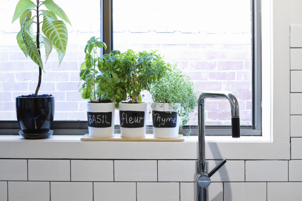 House plants sitting on the window ledge above kitchen sink