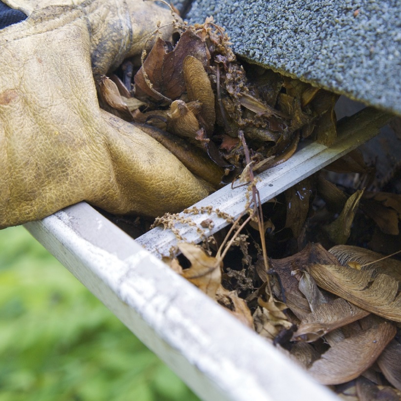 Spring cleaning is the perfect time to check and maintain the gutters and roof.