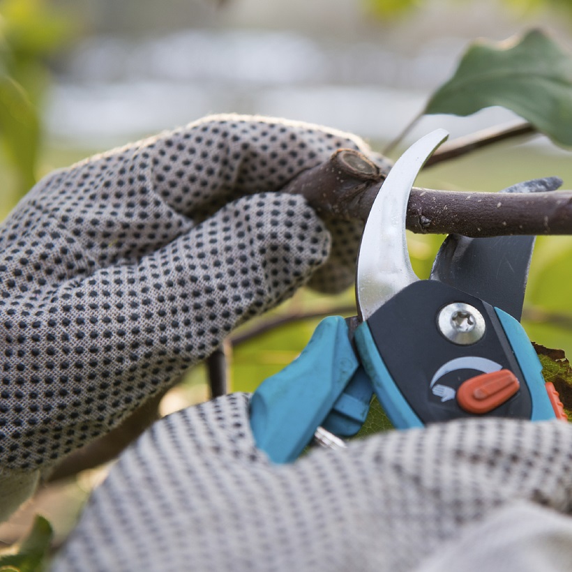 A top home maintenance tip is to caulk and repair damage to windows. 