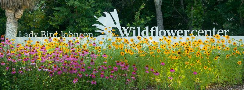 Lady Bird Johnson Wildflower Center in Austin, Texas