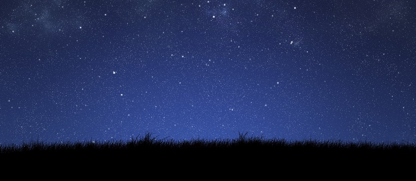 silhouette of grass on night sky background