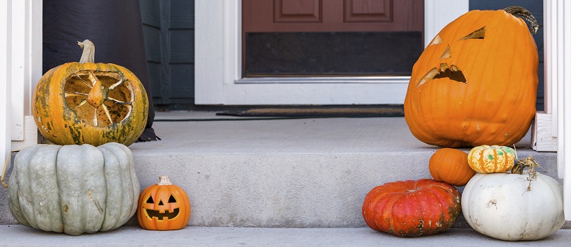 A variety of pumpkins make up a Halloween porch