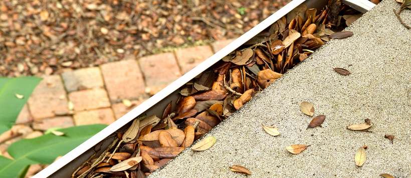 Dried leaves stuffed in a gutter