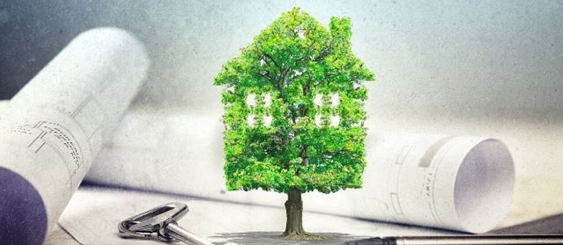 Home photoshopped as tree in front of building plans