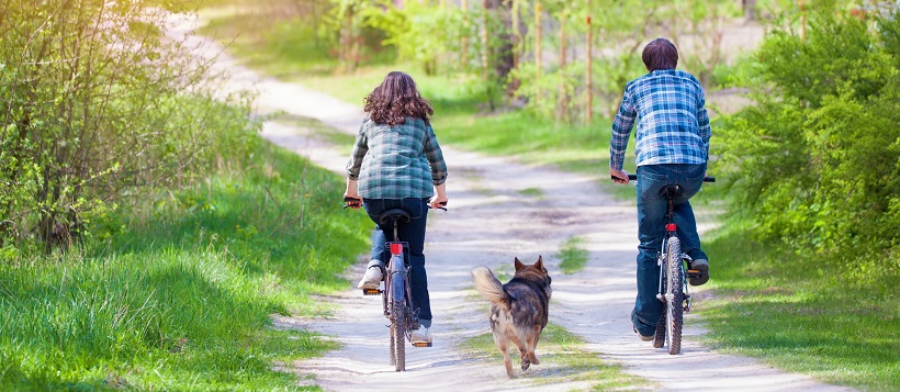 Couple riding bike with dog down a path in a park.