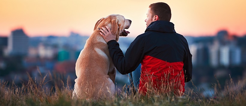 Man sitting with his dog while enjoying a sunset.