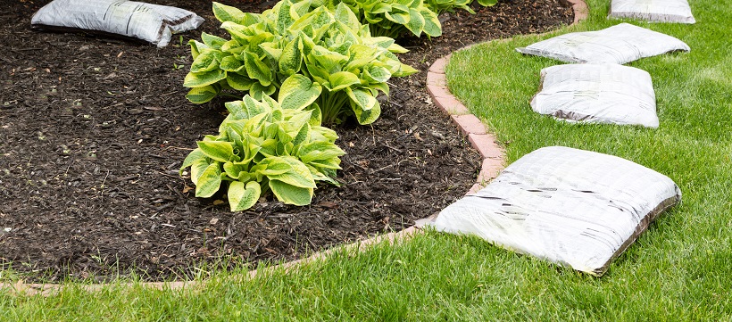 Dog-friendly landscaping with mulch bags around a garden section.