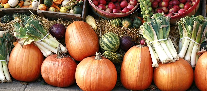 Pumpkins and fall vegetables at a farmer’s market.